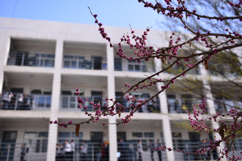 f_210bddc5bd444c0d98812aa55c967584.jpg&t=jpg&o=article&s=m&v=1537849948 f_210bddc5bd444c0d98812aa55c967584.jpg&t=jpg&o=article&s=m&v=1537849948