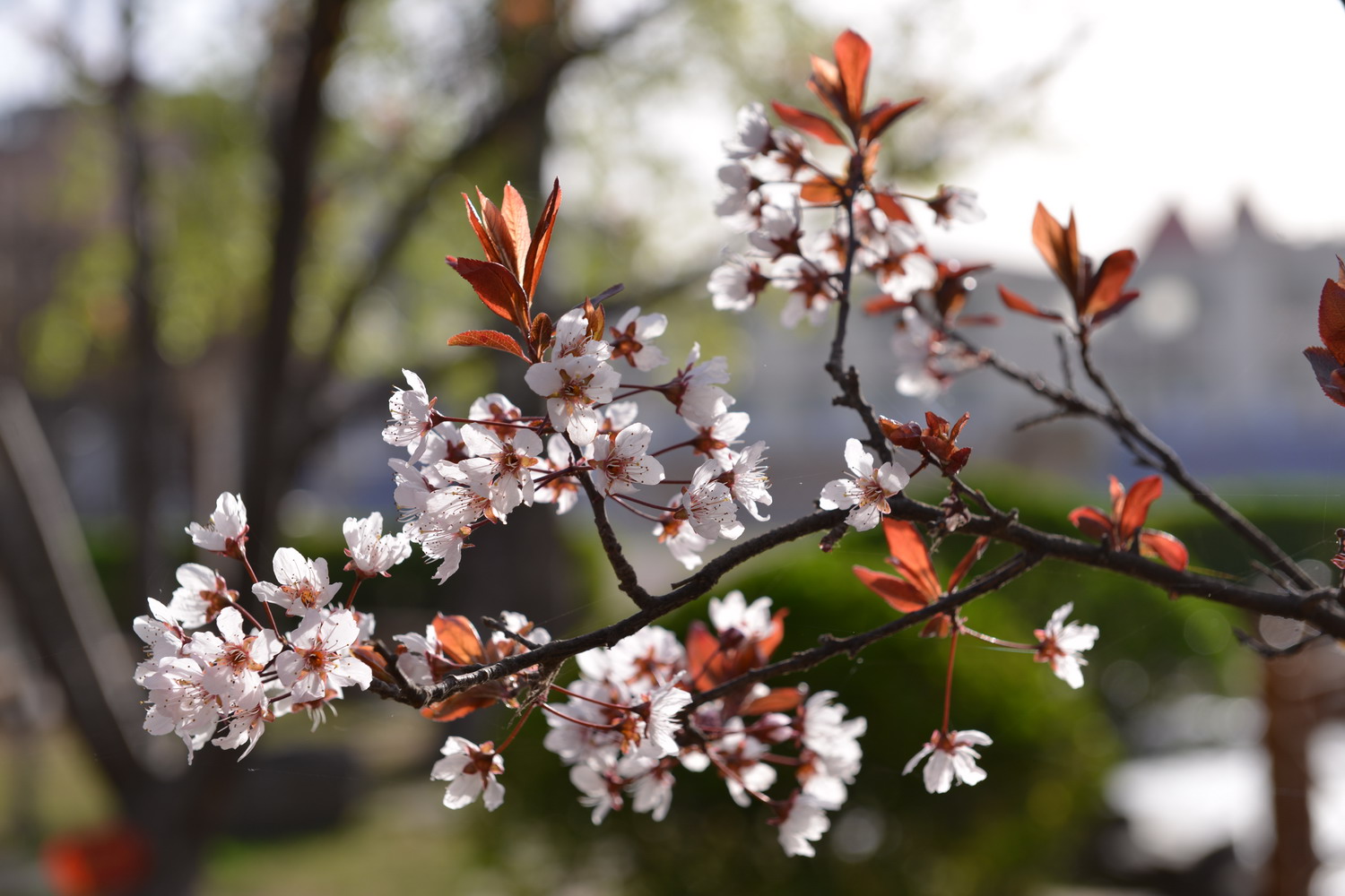 f_22824c7a4cfe4ace8d92c70bec830d5a.jpg&t=jpg&o=article&s=m&v=1537849948 f_22824c7a4cfe4ace8d92c70bec830d5a.jpg&t=jpg&o=article&s=m&v=1537849948